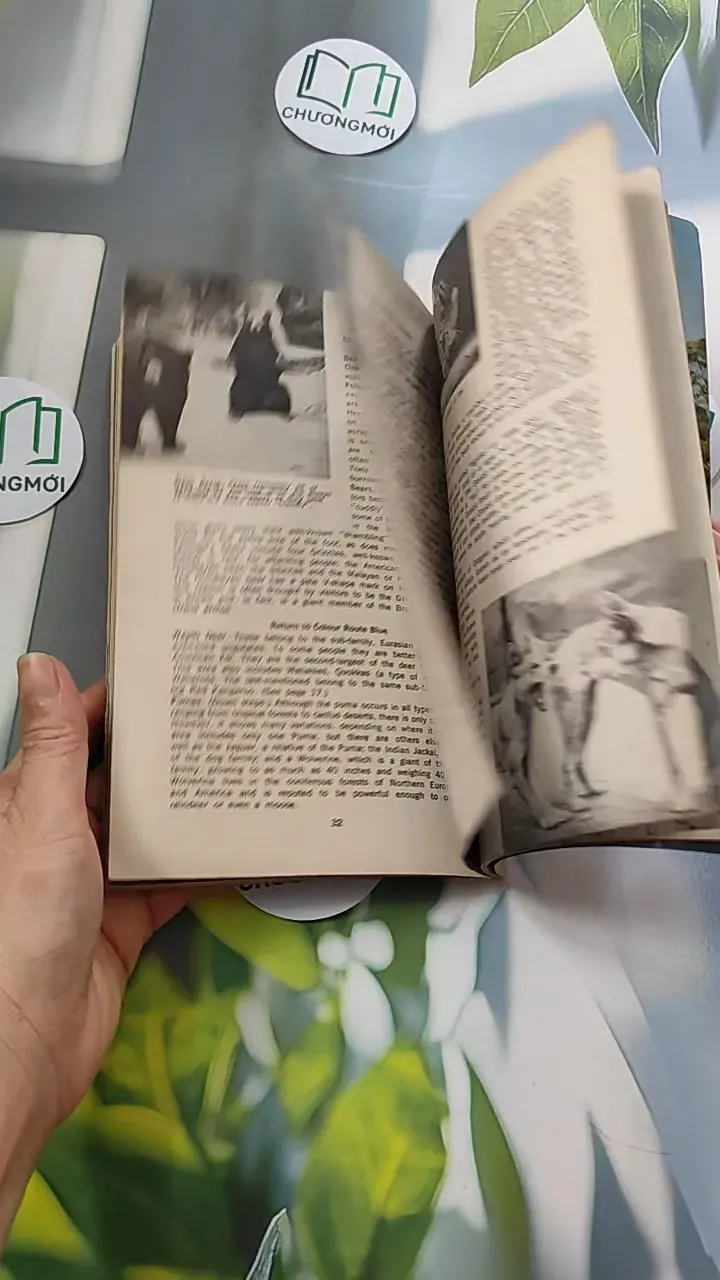 [MIỄN PHÍ BỌC SÁCH] [XƯA] Taronga Zoo Guide (1959) 754439