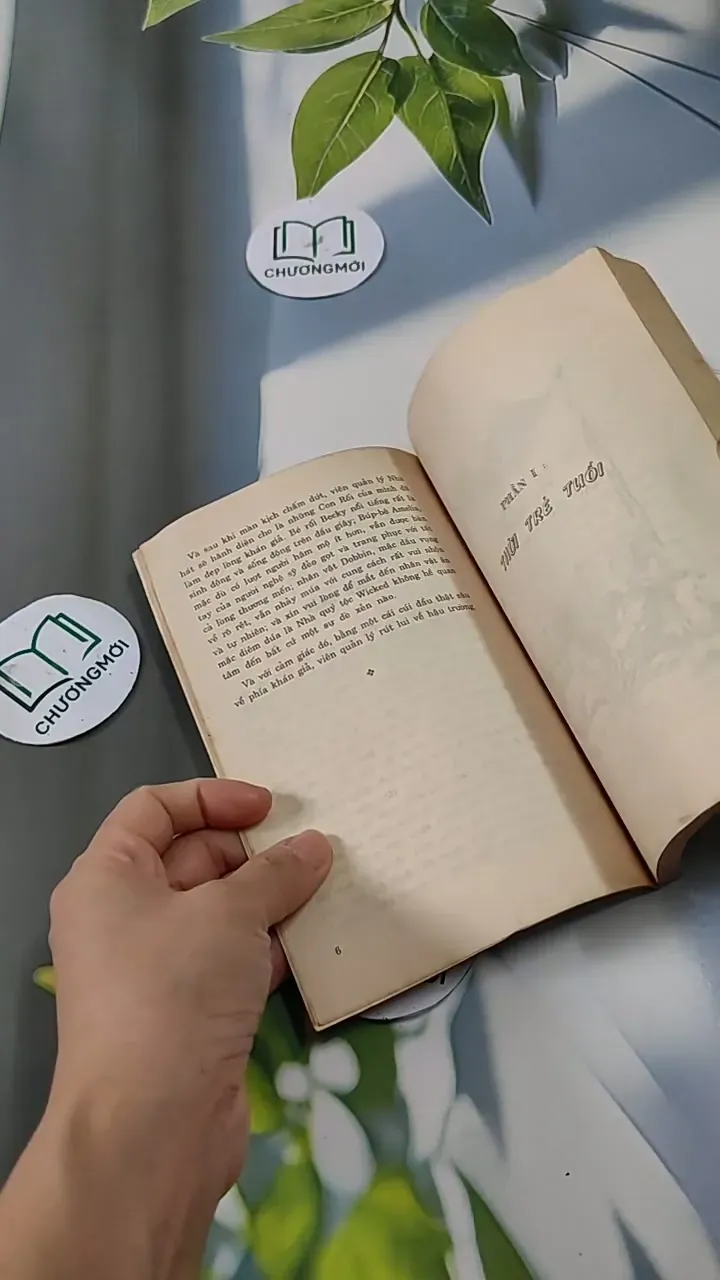 Hội Chợ Phù Hoa - W.M. Thackeray 713825