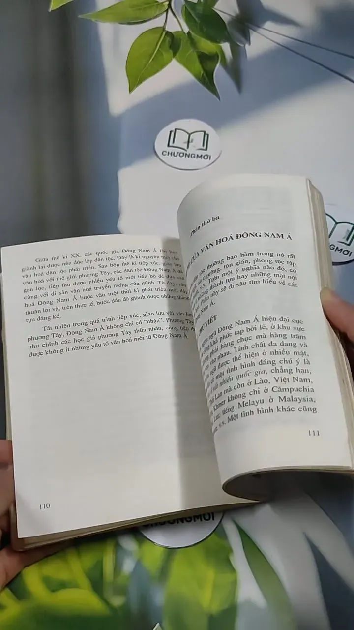 Văn Hóa Đông Nam Á - Mai Ngọc Chừ 707261