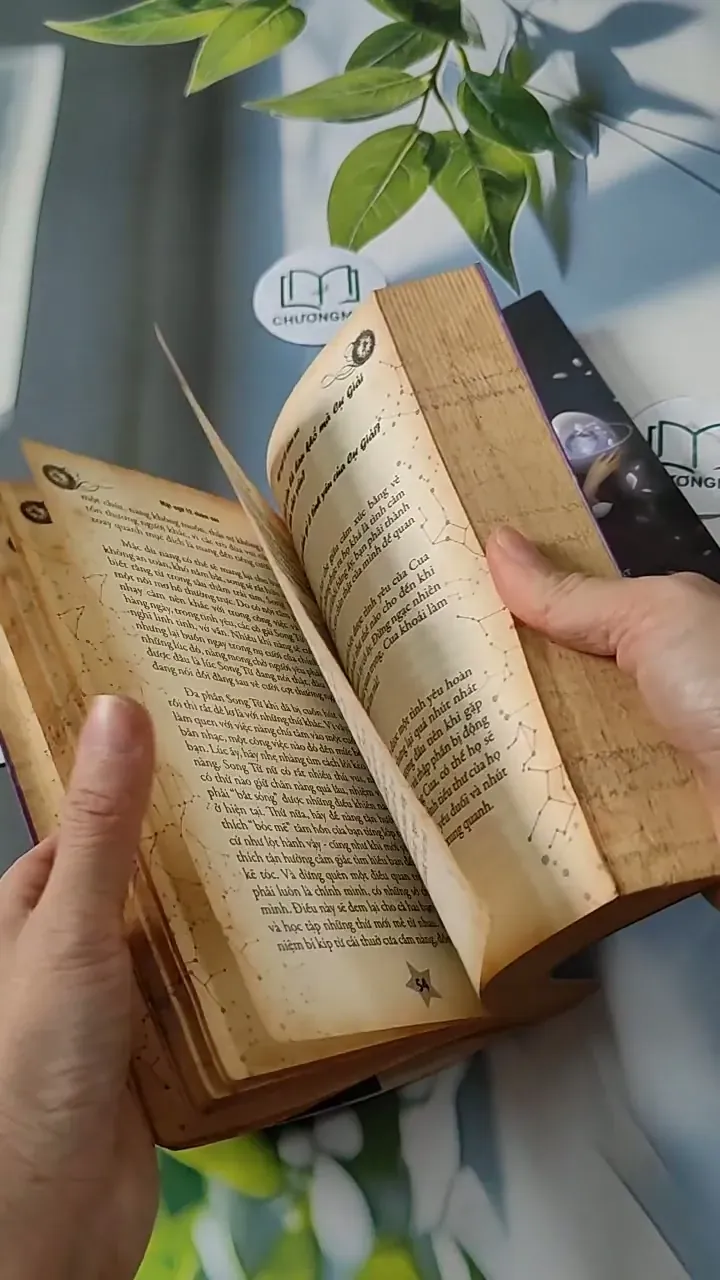 Combo: Khám Phá Tất Tần Tật Cung Song Tử  713791