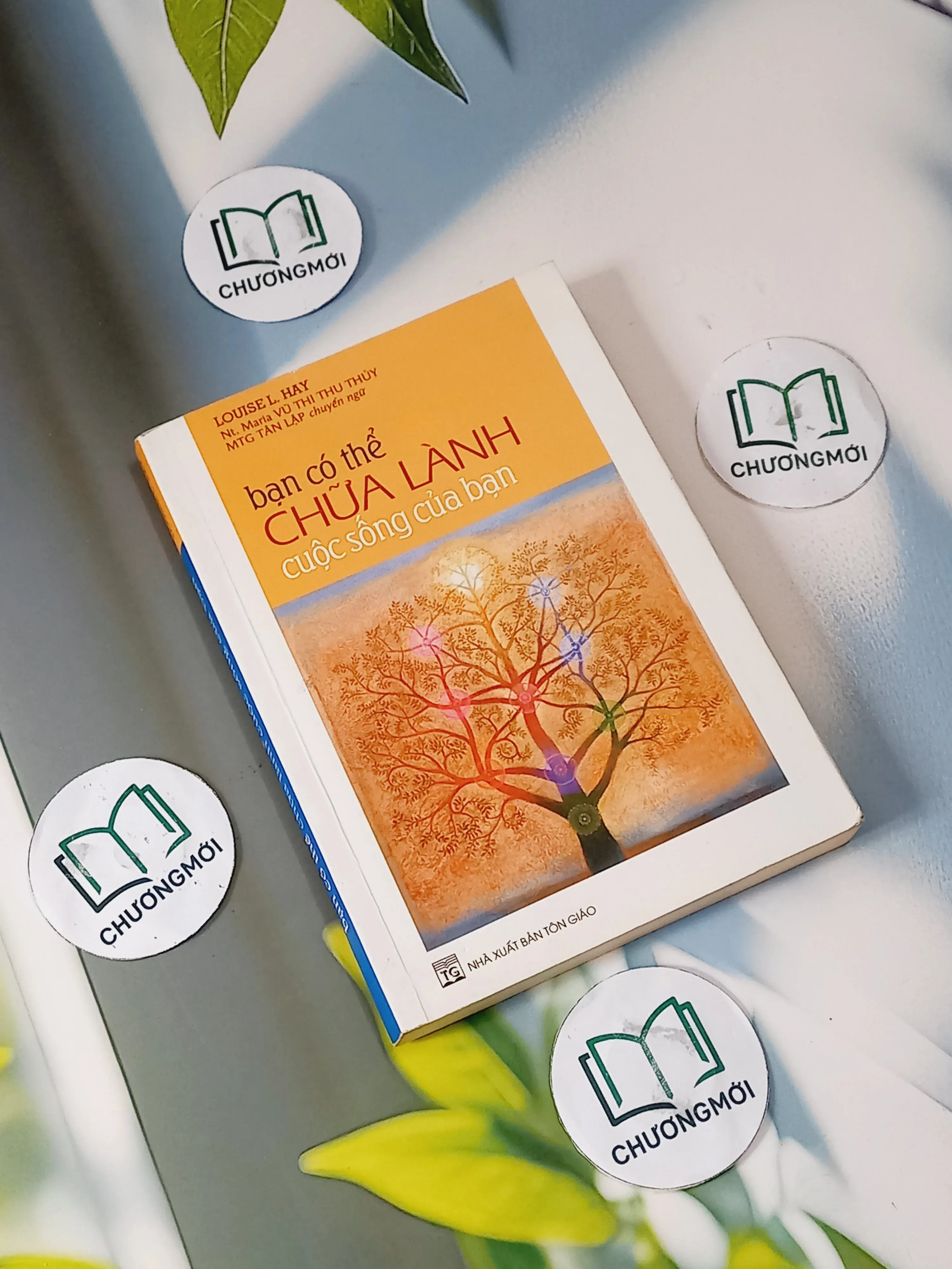 Bạn Có Thể Chữa Lành Cuộc Sống Của Bạn - Louise L. Hay