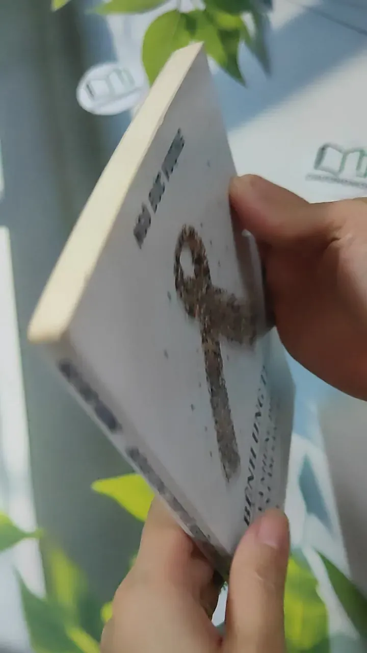 Bệnh Ung Thư Và Những Điều Cần Làm Sáng Rõ - Ngô Đức Vượng 780913