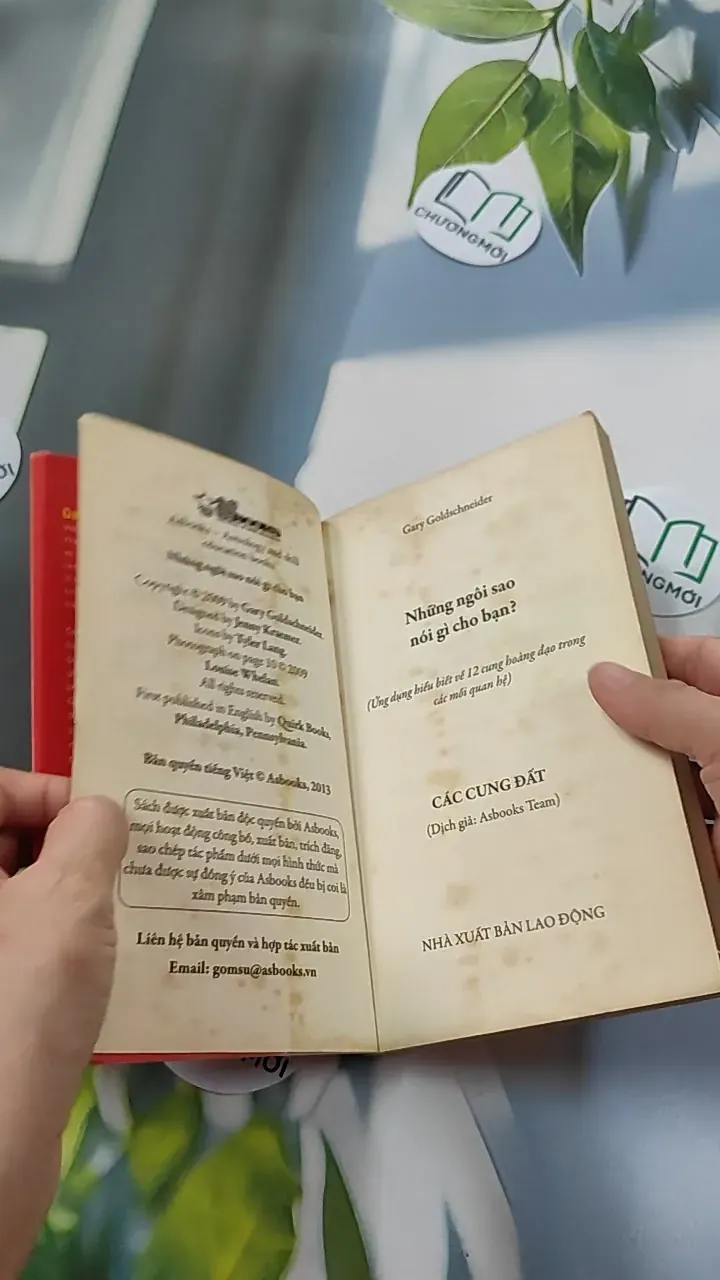 Những Ngôi Sao Nói Gì Cho Bạn: Các Cung Đất - Gary Goldschneider 776100