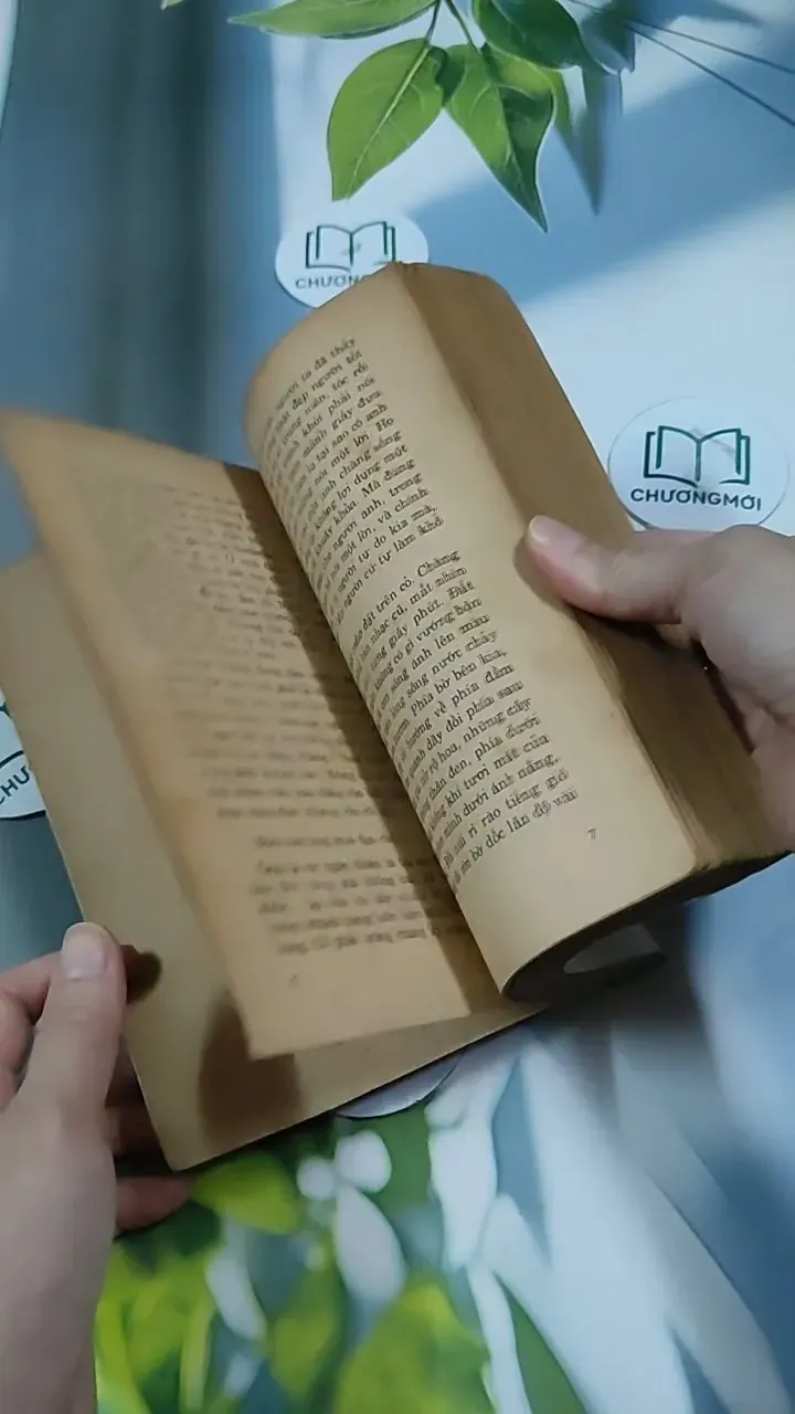 Kẻ Phản Bội Đền Tội - Martin Blank 713862