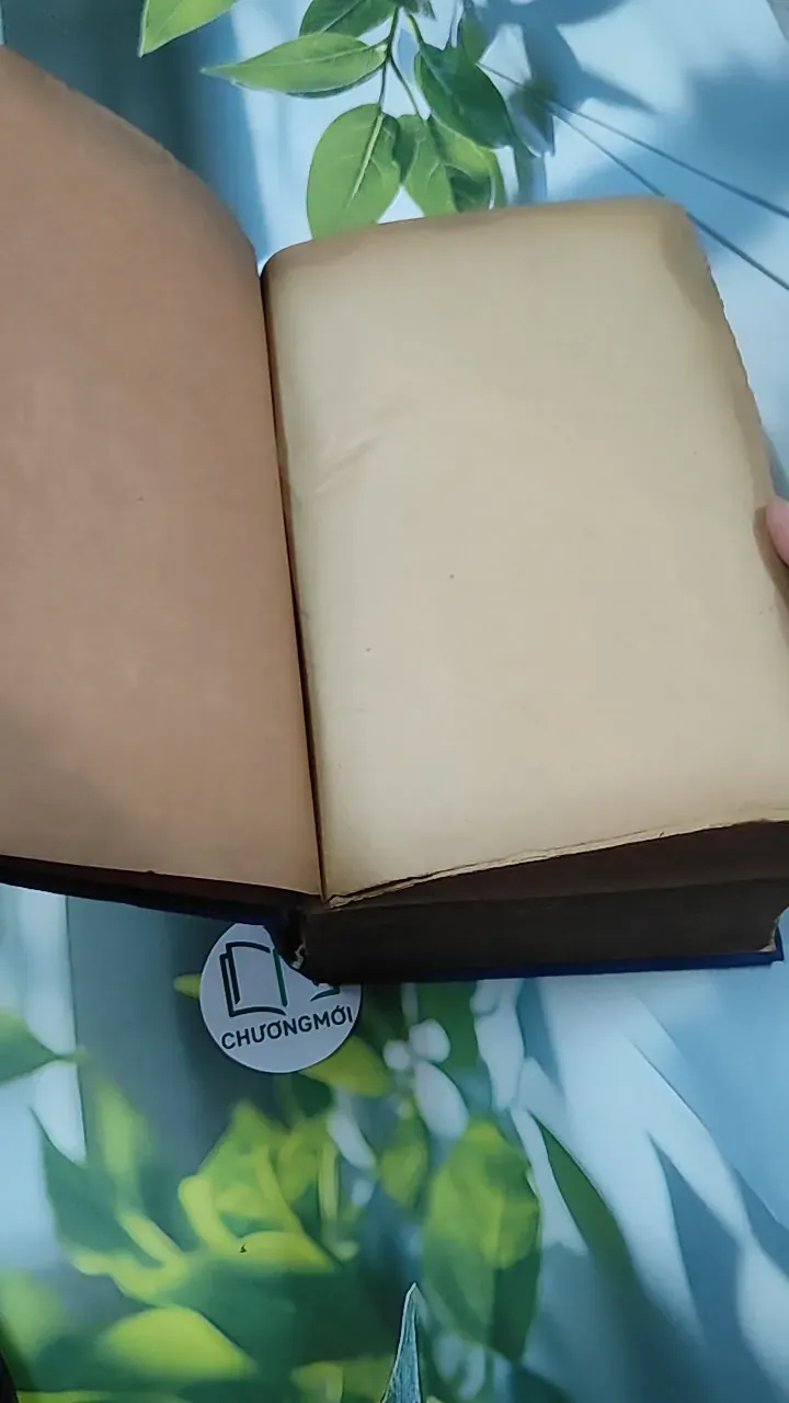 [MIỄN PHÍ BỌC SÁCH] Từ Điển Anh - Việt - Viện Ngôn Ngữ 750747