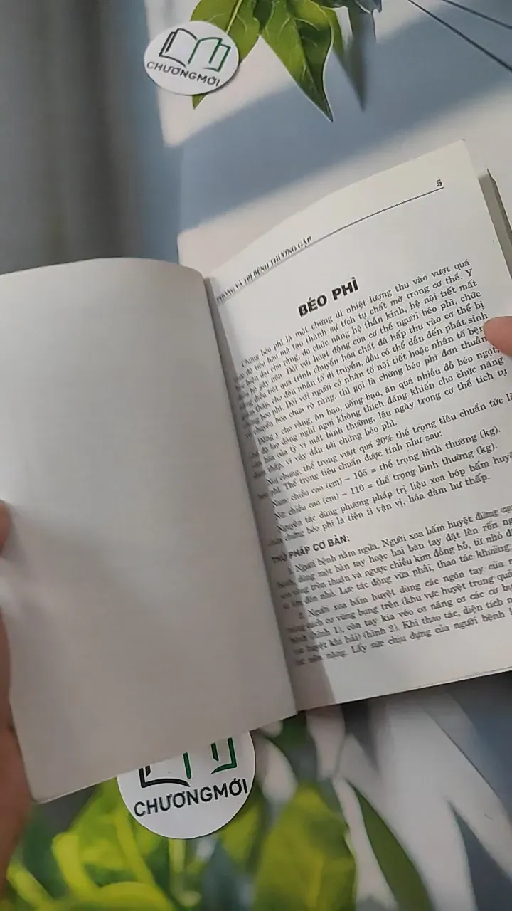 Xoa - Bấm Huyệt - Kỷ Anh & Định Công Bảy 780808