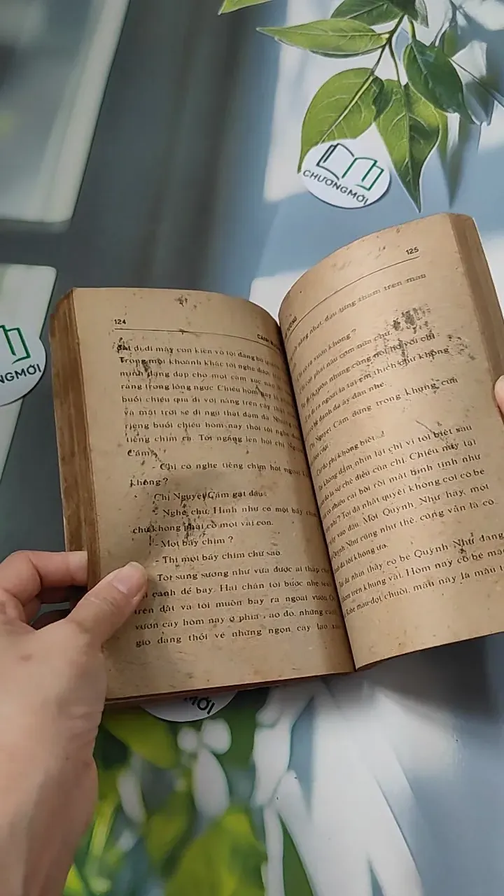 [XƯA] Cánh Bướm (1989) (Cánh Bướm) 776073