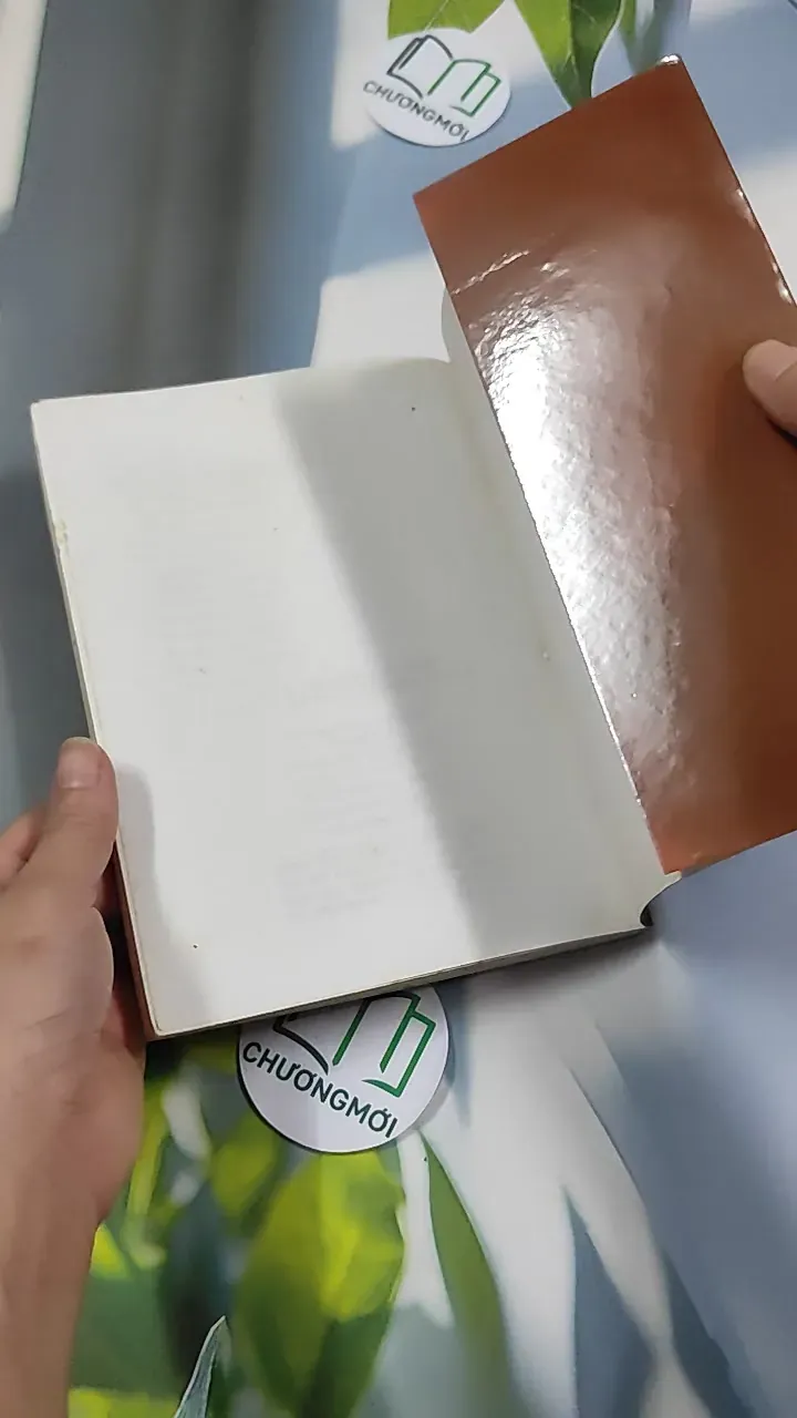 Thông điệp tình huynh đệ - Thích Nhất Hạnh 776241