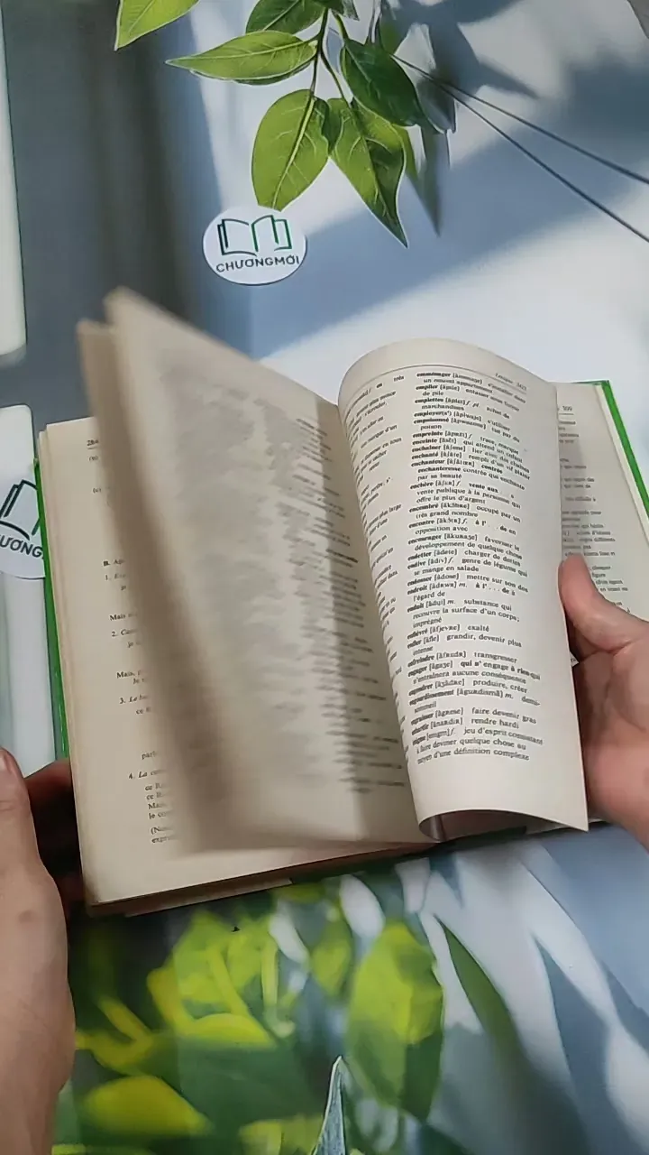 [MIỄN PHÍ BỌC SÁCH] Le Moulin à Paroles - Michel Benamou & Jean Carduner 750741