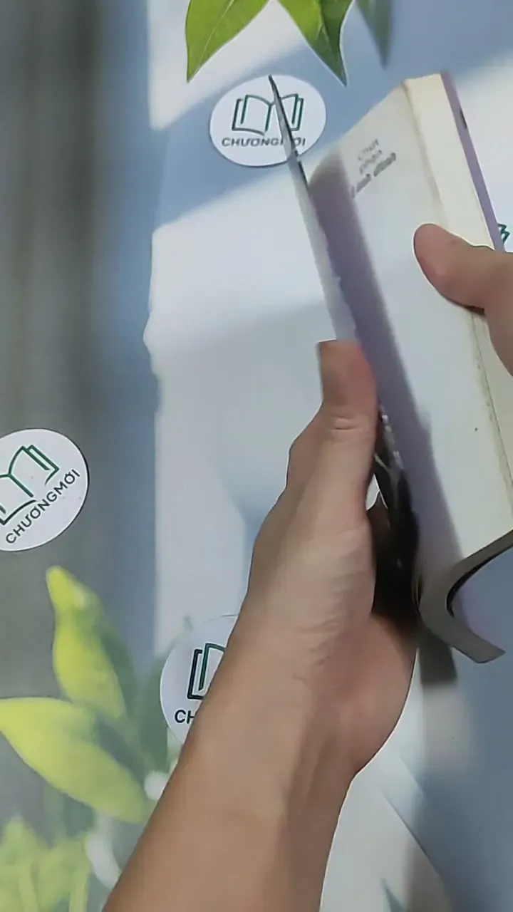 Chúc phận linh đinh - Hồ Biểu Chánh 698619