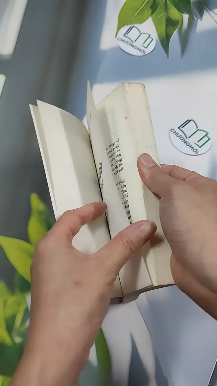 Mười Hai Con Giáp Những Điều Lý Thú 776146