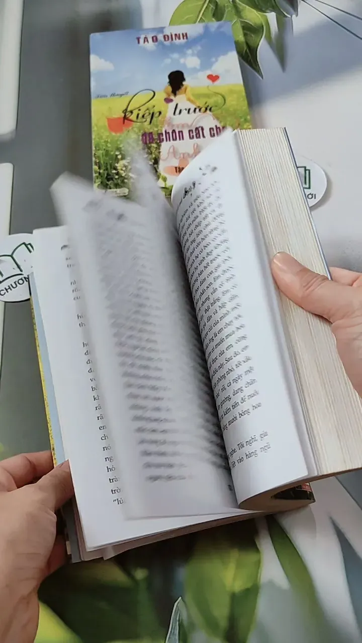 Bộ Kiếp Trước Em Đã Chôn Cất Cho Anh - Tào Đình 744693