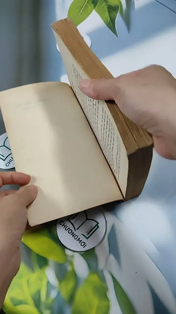 Những Mối Tình Đan Xen - Vũ Đình Bình - Phạm Sông Hồng 713835