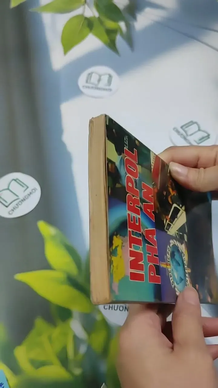 Interpol Phá Án - Minh Việt 707309