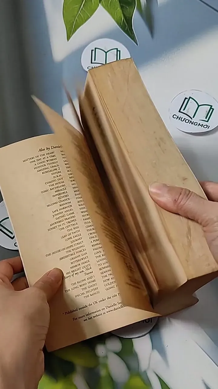 [MIỄN PHÍ BỌC SÁCH] Rogue - Danielle Steel 703093