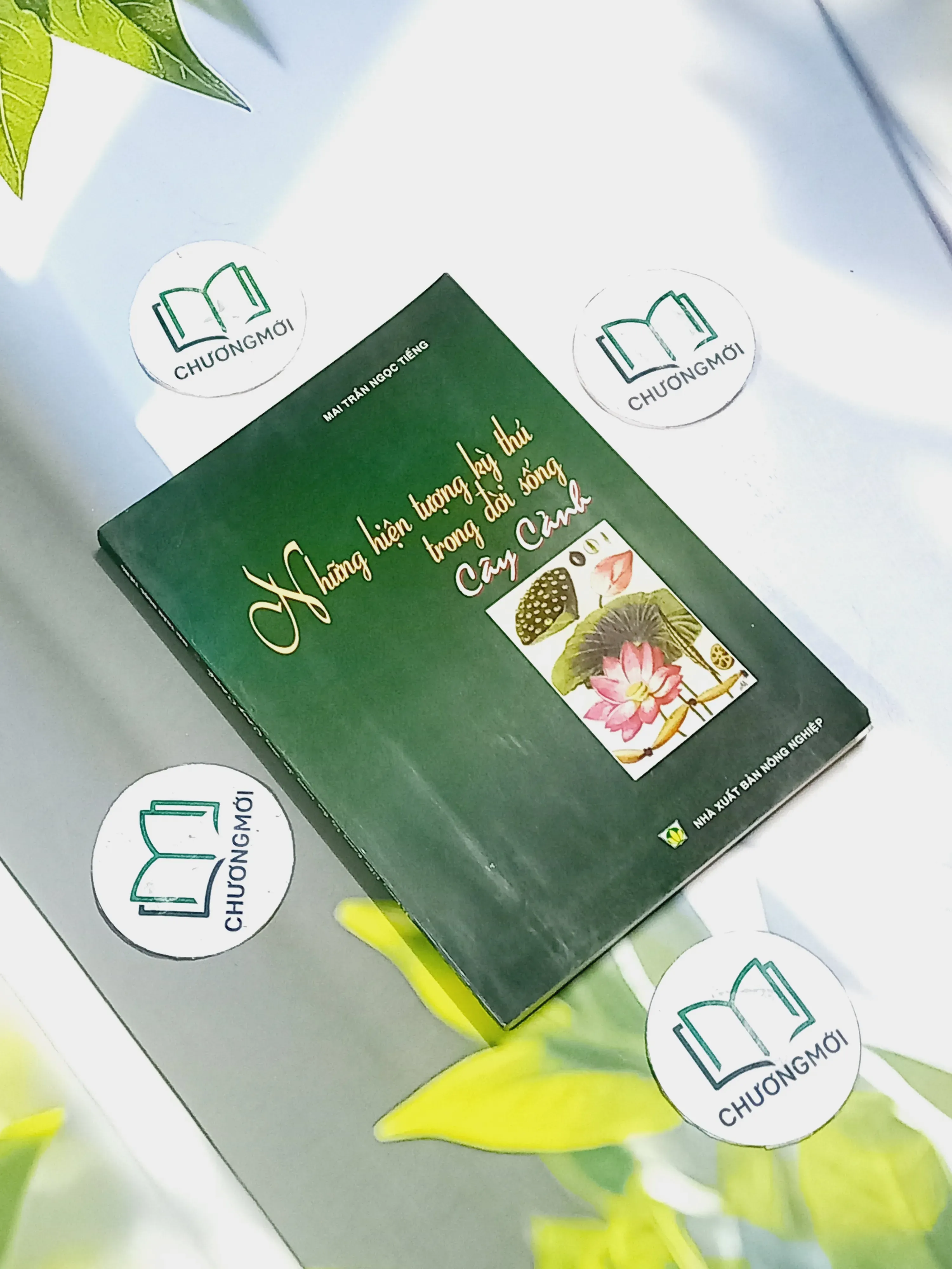 Những Hiện Tượng Kỳ Thú Trong Đời Sống Cây Cảnh - Mai Trần Ngọc Tiếng