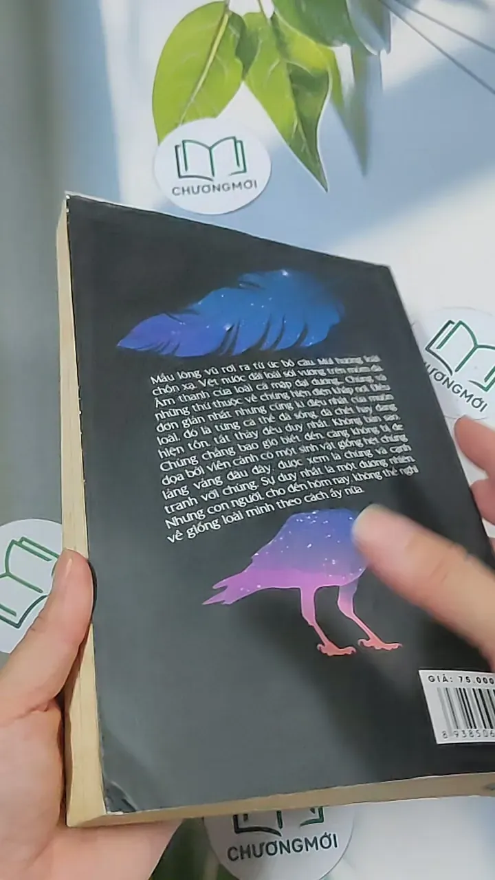 Hợp Điểm - Phan Hồn Nhiên 688703