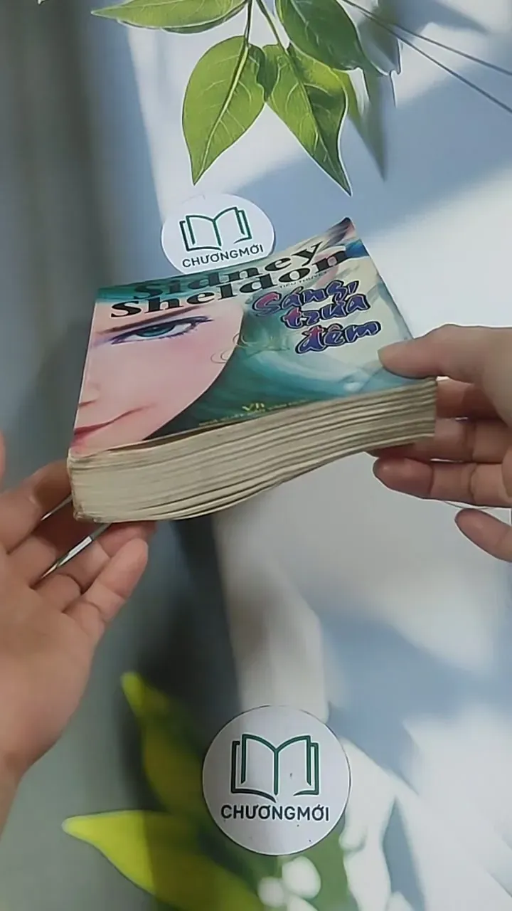 Sáng, trưa và đêm - Sidney Sheldon 695004