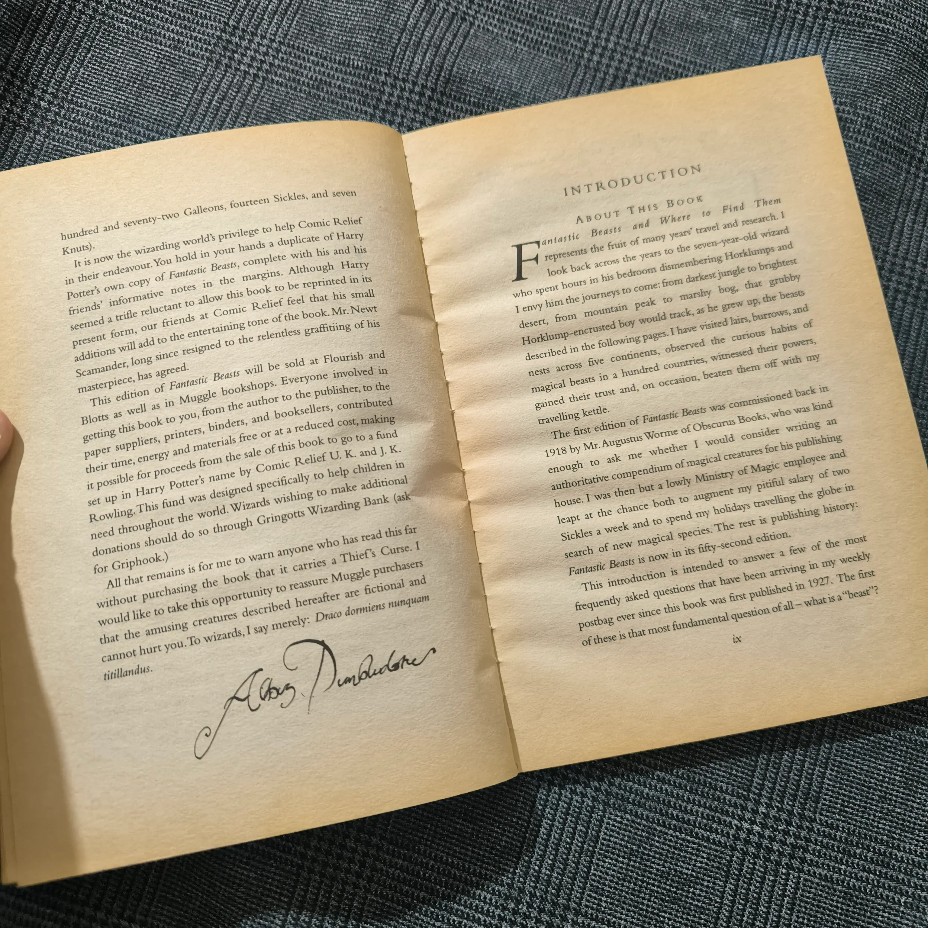 (Harry Potter) Fantastic Beasts & Where to find them - Newt Scamander 1005100