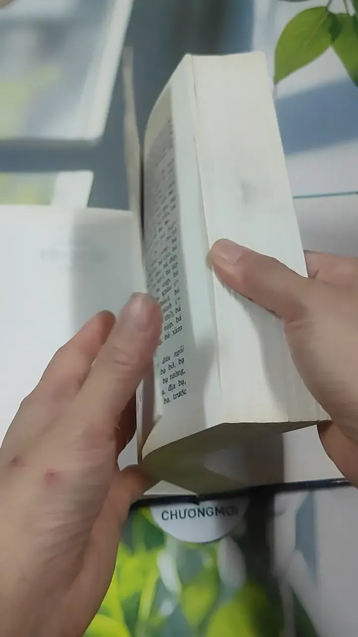 Từ Điển Chính Tả Tiếng Việt Phổ Thông - Nguyễn Văn Khang 727389