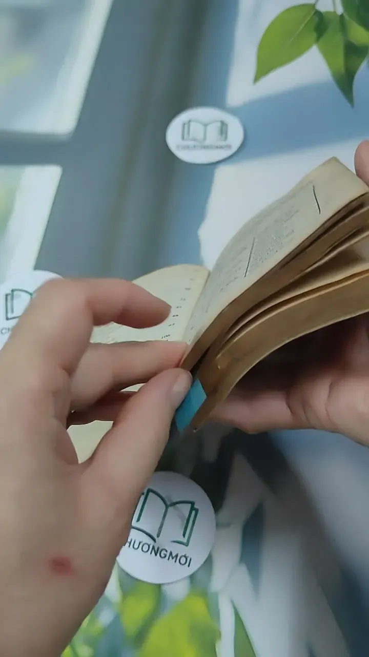 Tiếng Anh Thực Dụng Dễ Học 727293