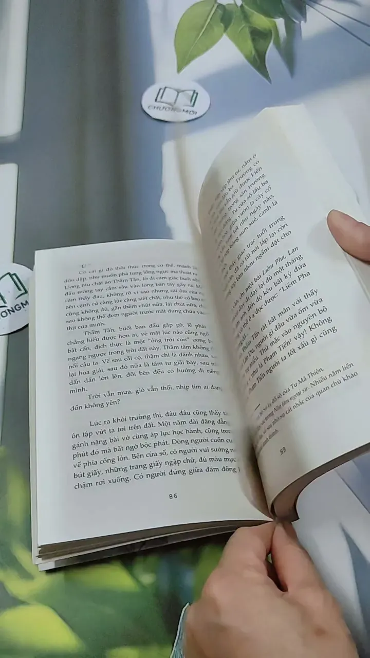 Này Những Phong Hoa Tuyết Nguyệt - Công Tử Hoan Hỉ 744702