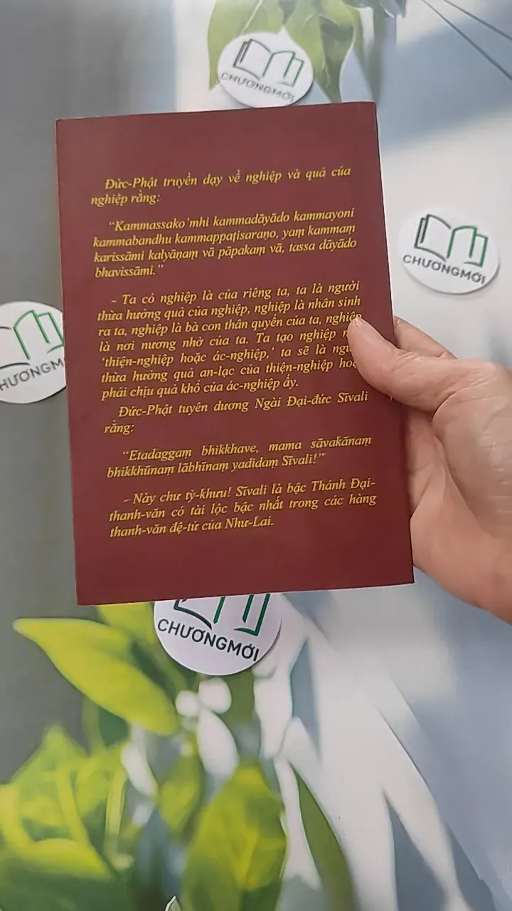 Tích Ngài Trưởng Lão Sivali - Phật Giáo Nguyên Thuỷ 775955