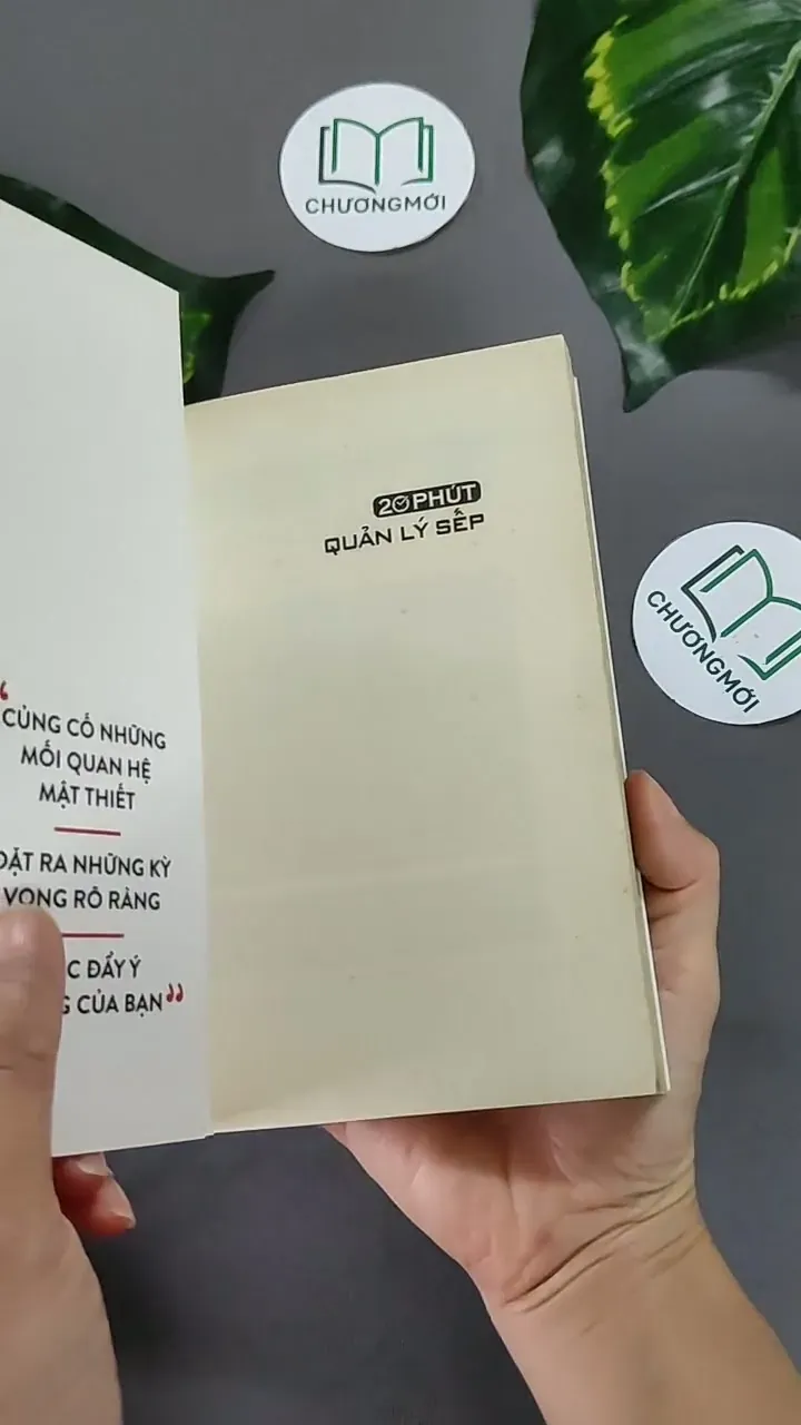 20 Phút Quản Lý Sếp - Harvard Business Review Press 604651