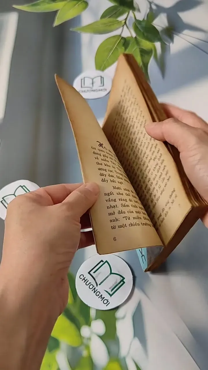 Những Người Đi Và Hai Người Ở Lại - Đinh Quang Nhã 713810