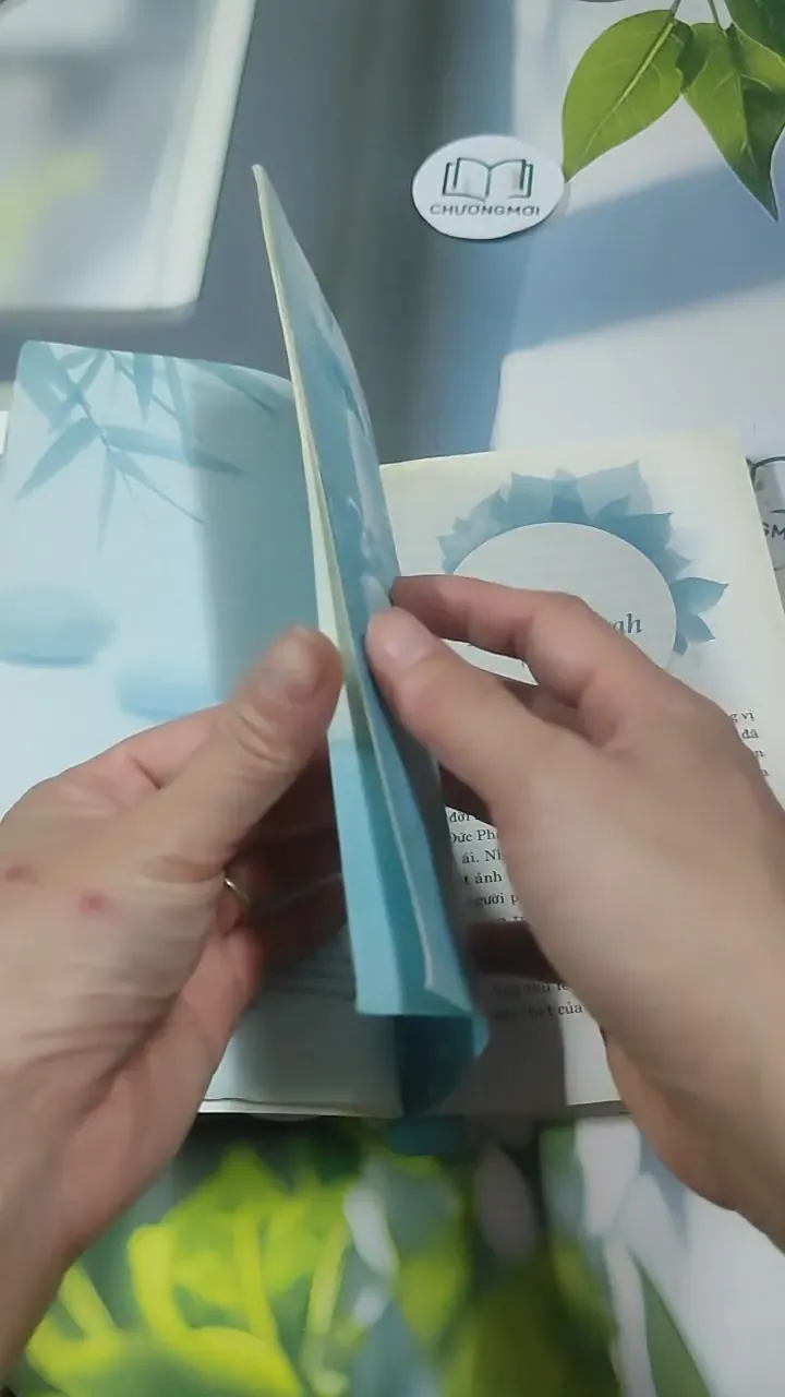 Tâm Tĩnh Lặng - Achaan Chah 727369