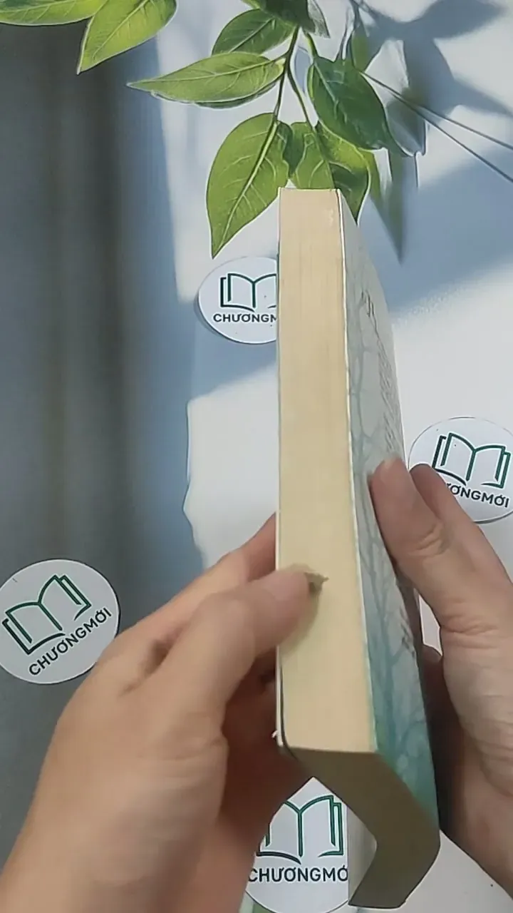 Phồn Chi tập 1 - Ngô Trầm Thủy 694934