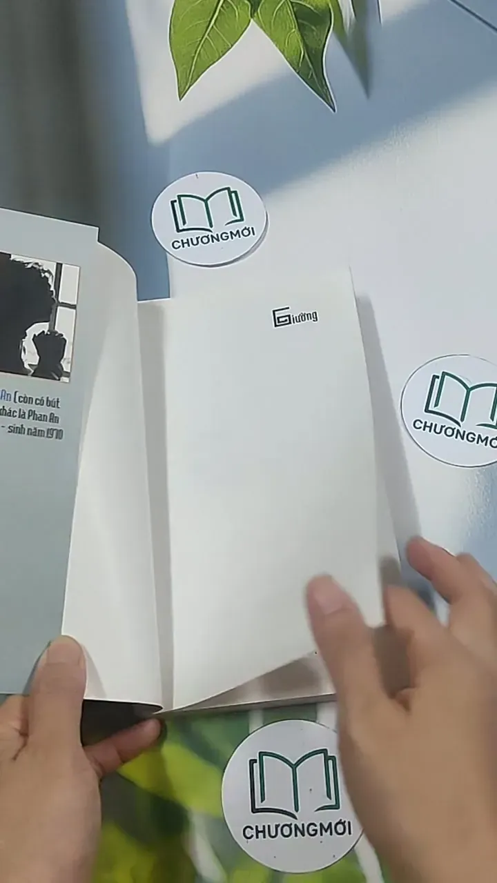 Giường - Phan An 694986