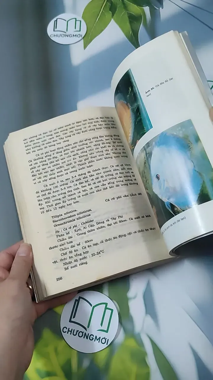 [MIỄN PHÍ BỌC SÁCH] [XƯA] Cá Cảnh (1993) - Võ Văn Chi 780866