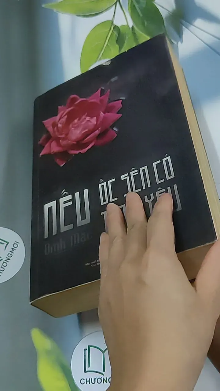 Nếu ốc sên có tình yêu - Đinh Mặc 688711