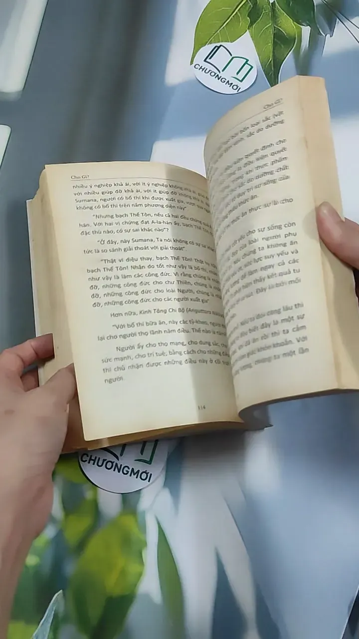 Thức Tỉnh Đi, Thế Gian Ơi! - Tỳ-kheo Revata 776133