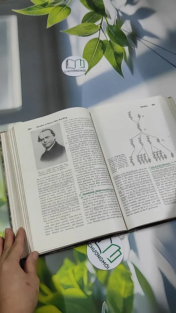 [MIỄN PHÍ BỌC SÁCH] The Plant World - Harry J. Fuller 750801