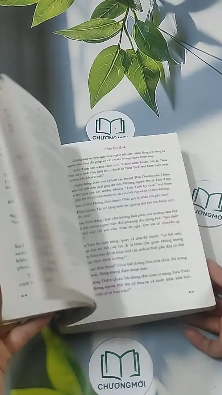 Chờ một ngày nắng - Điệp Chi Linh 694938