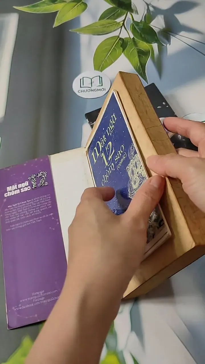 Combo: Khám Phá Tất Tần Tật Cung Song Tử  713791