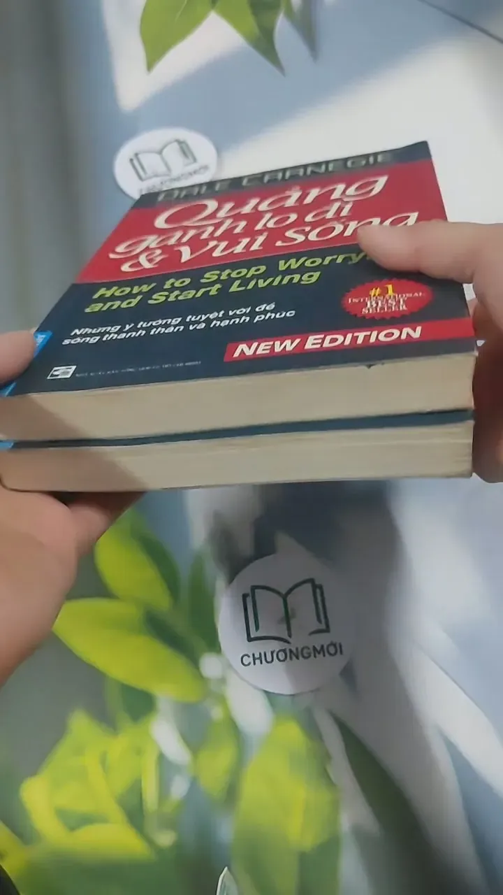 Combo: Quẳng Gánh Lo Đi & Vui Sống - Đắc Nhân Tâm - Dale Carnegie 715574