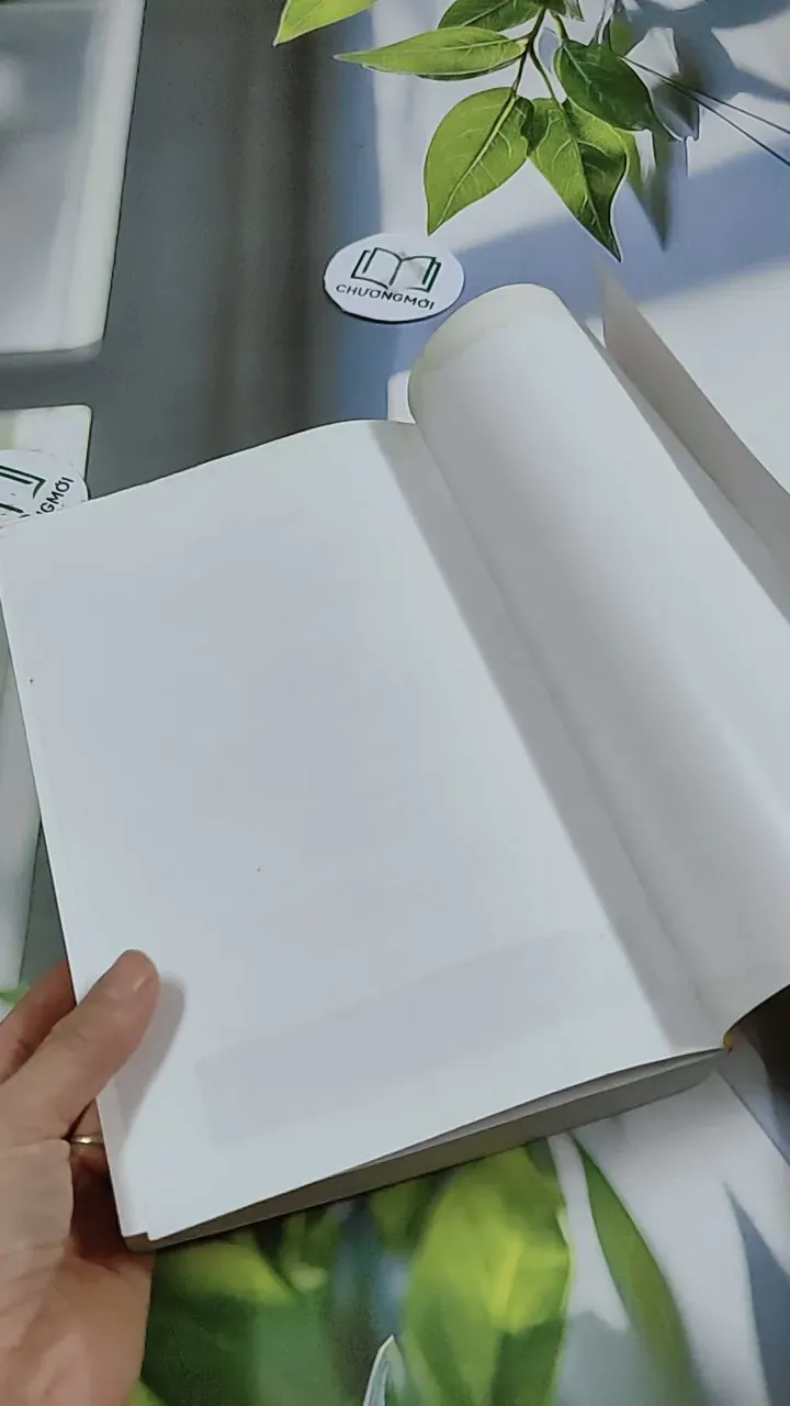 Bảo Vật Giang Hồ - Tô Tố 744769