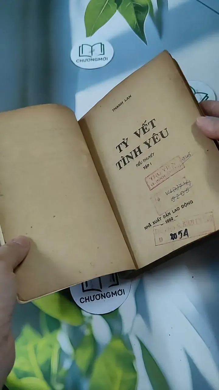 Tỳ Vết Tình Yêu - Thanh Lan 713847