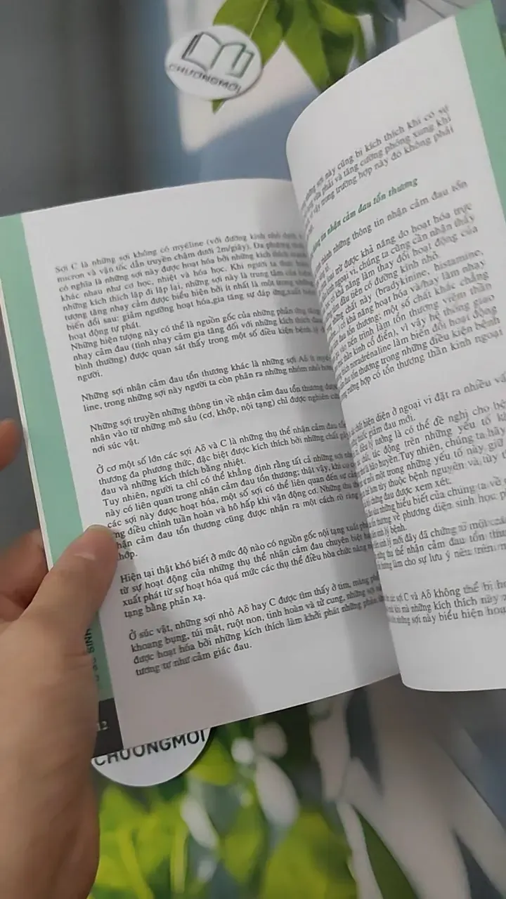 Đau & Nhân Viên Y Tế 780783