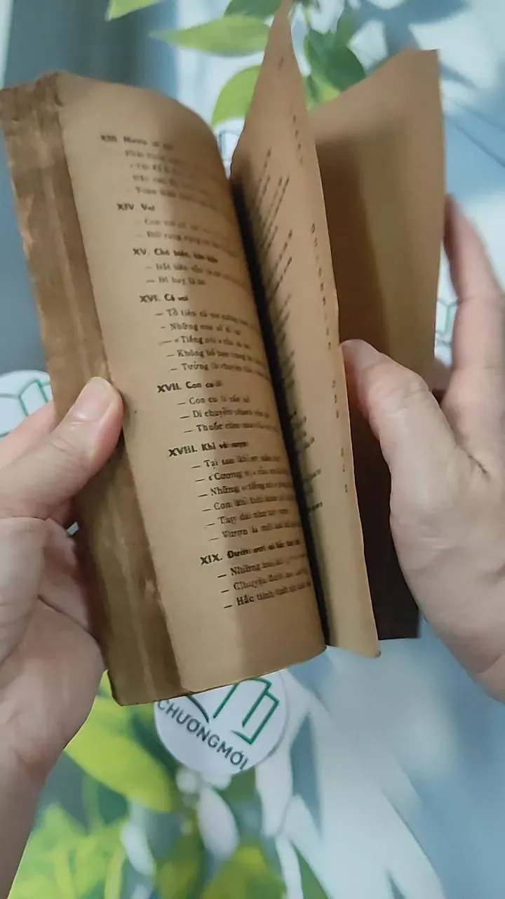 [XƯA] Tìm Hiểu Các Loài Thú (1988) - Lê Vũ Khôi 775993