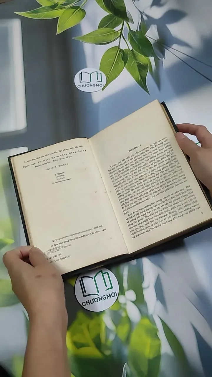 Bức Tranh - Đanhin Granhin 750804