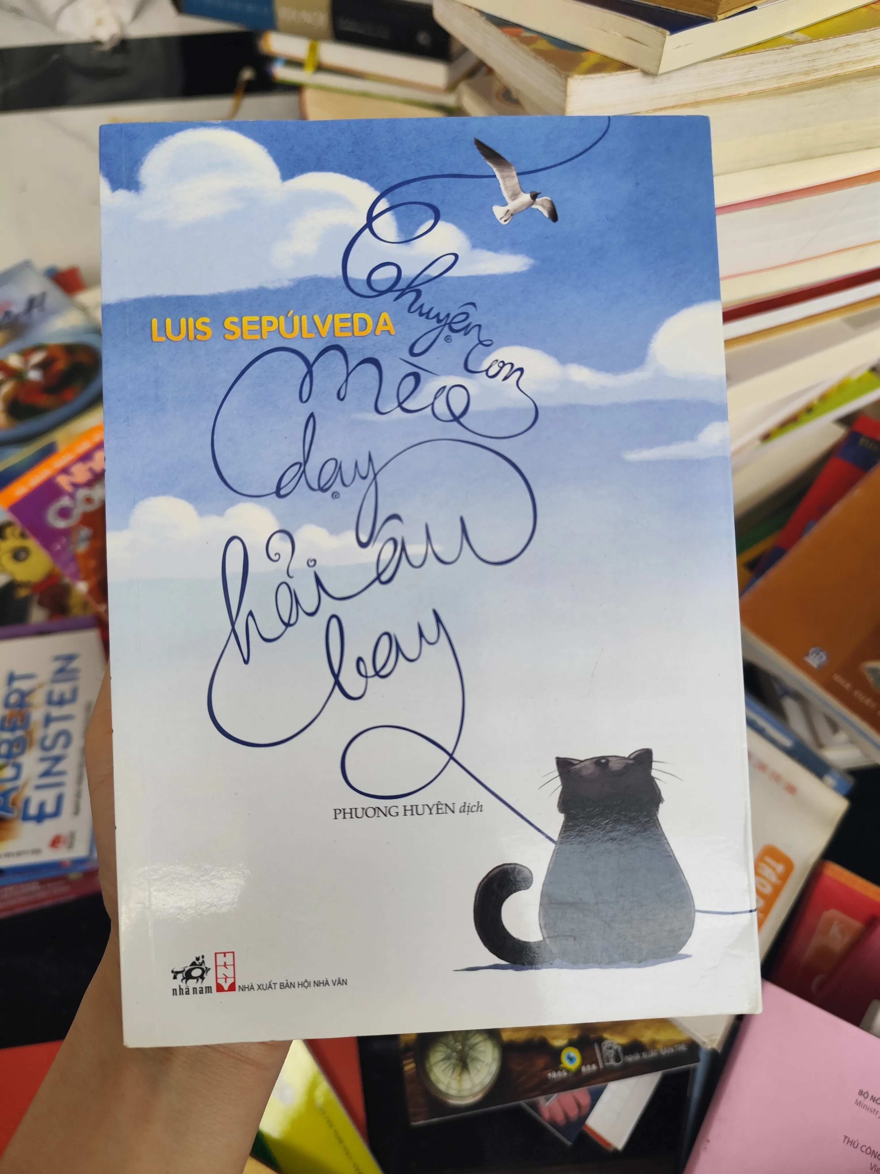 Chuyện con mèo dạy hải âu bay by  - Sách Book Cover - Ngọc Hiển Books