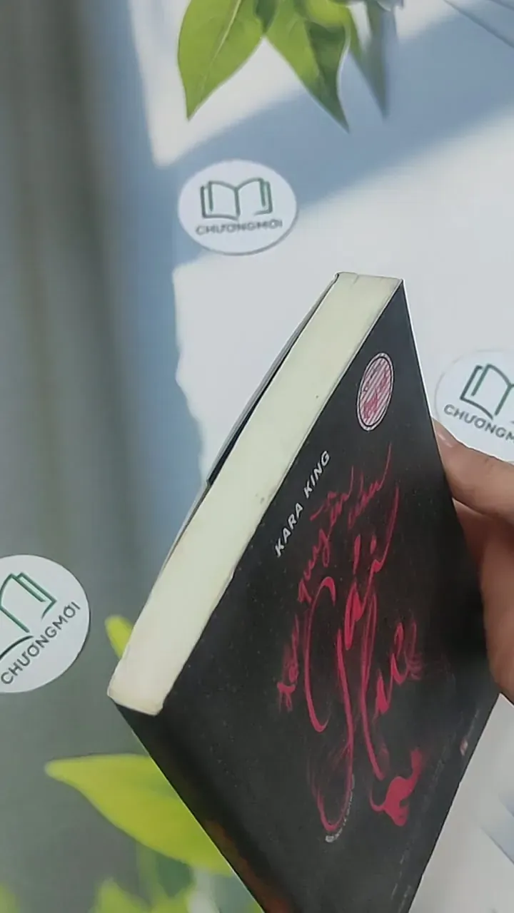 Đặc quyền của gái hư - Kara King 694980