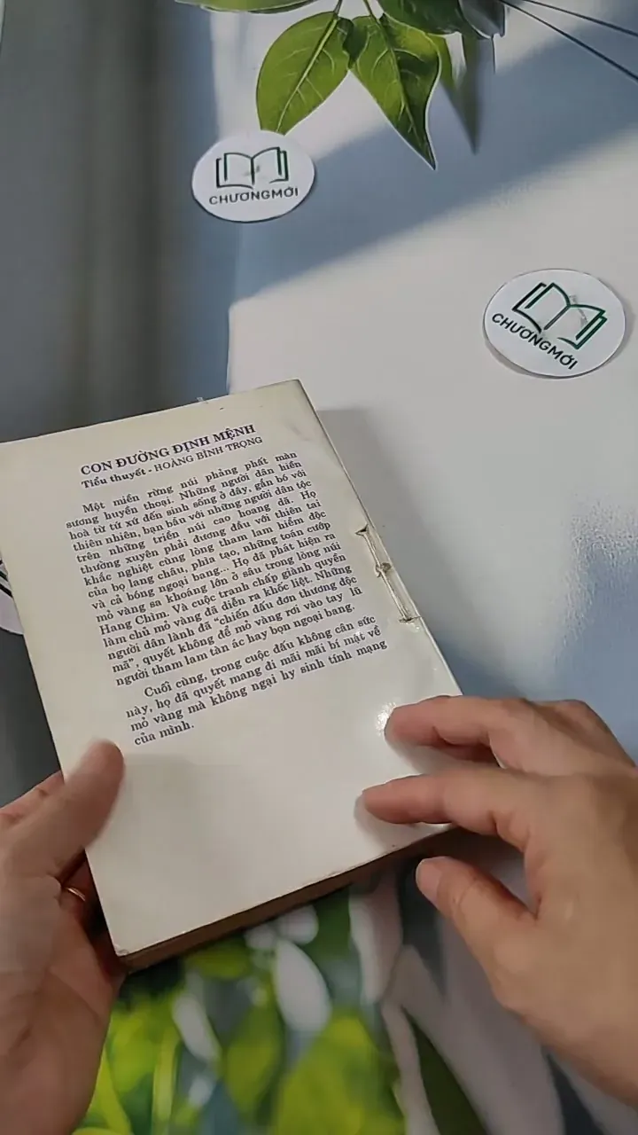 Con Đường Định Mệnh - Hoàng Bình Trọng 713817