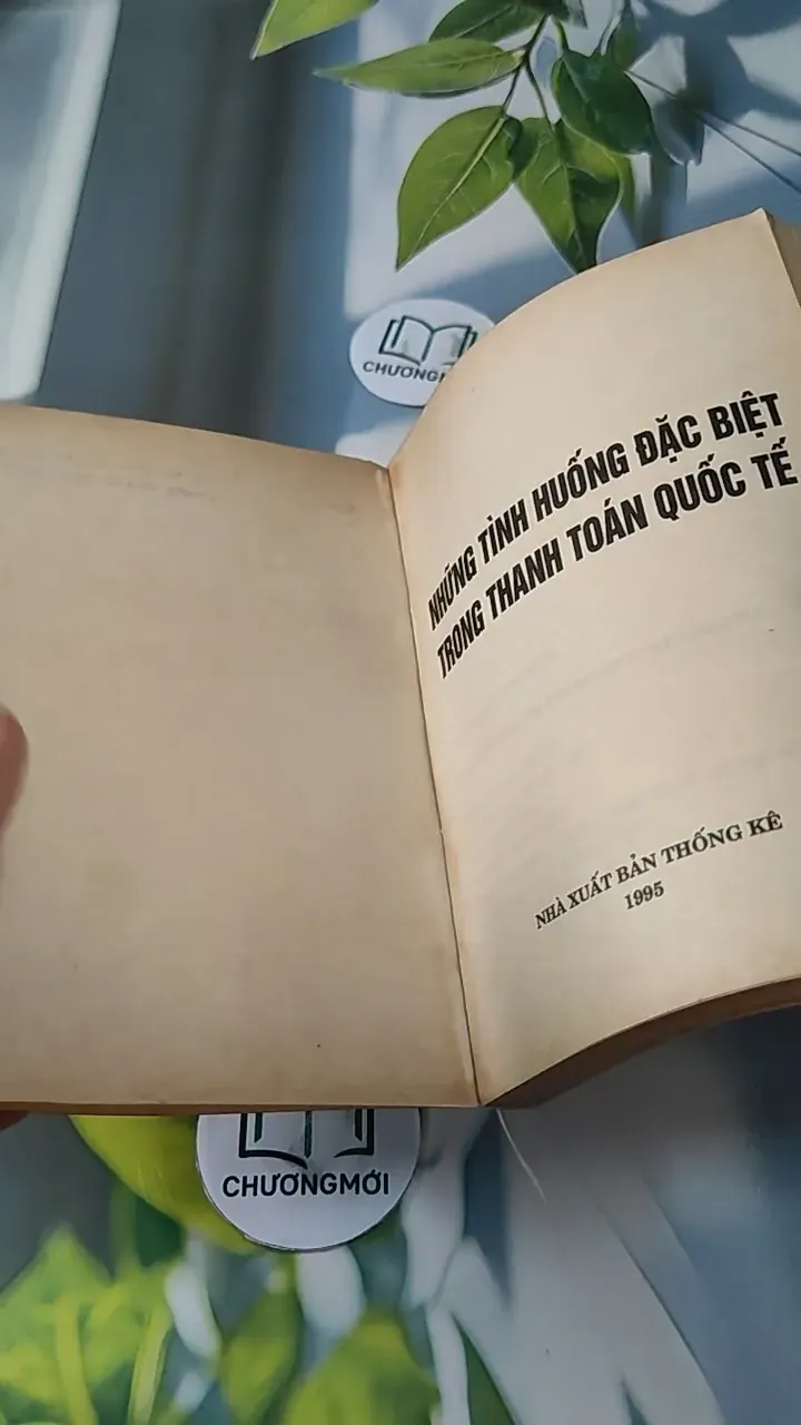 Những Tình Huống Đặc Biệt Trong Thanh Toán Quốc Tế - Nguyễn Ninh Kiều 727245