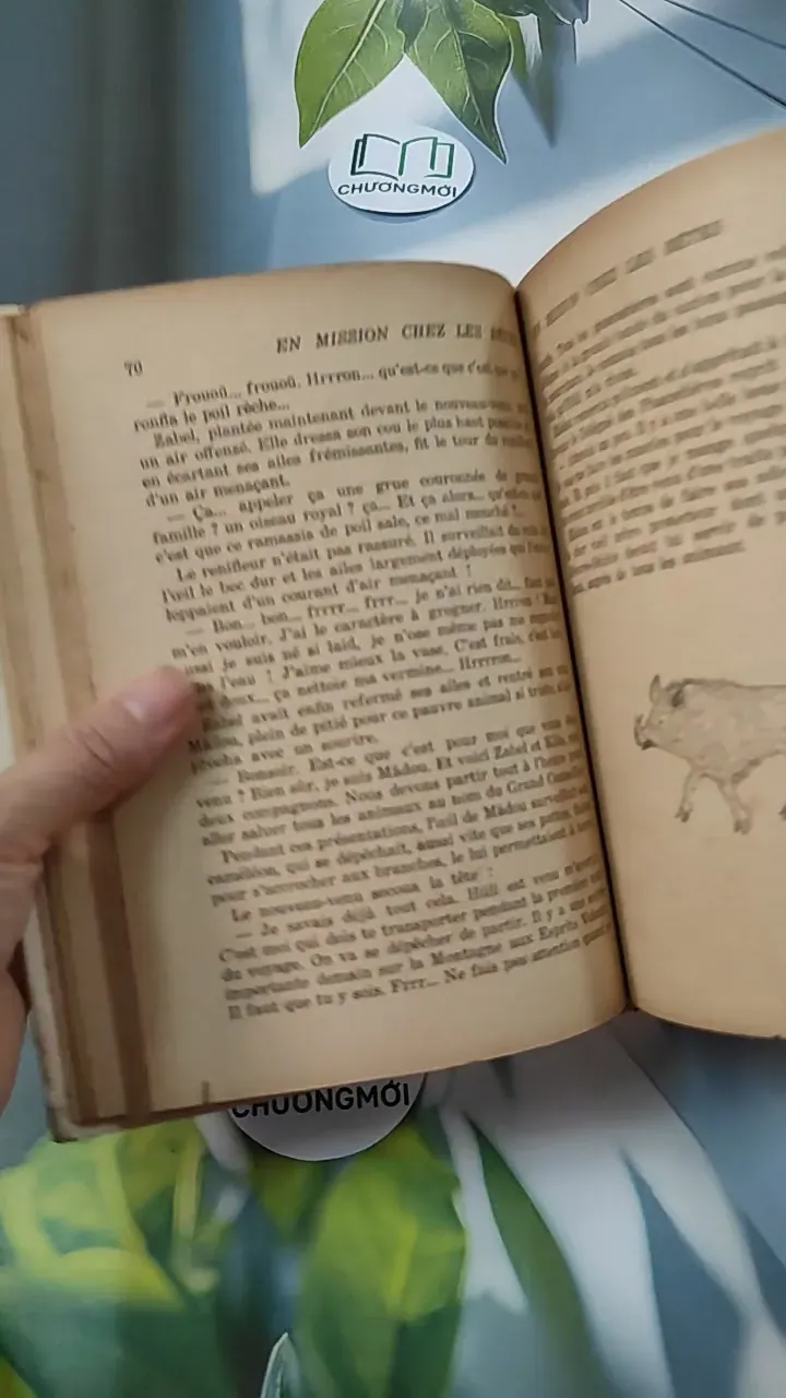 [MIỄN PHÍ BỌC SÁCH] En mission chez les bêtes - Pâquerette de Quénetain 749582