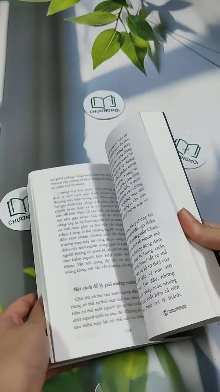 Tiền Kiếp - Có Hay Không? 705673